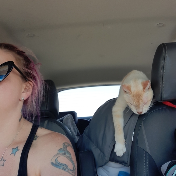 Meet your Posher, Christina - Picture 3 of 7